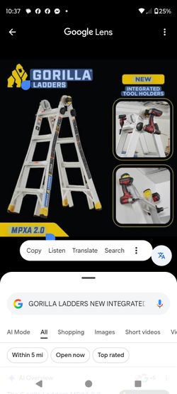 GORILLA LADDER