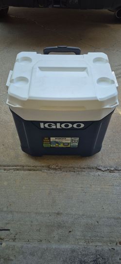 Ice chest