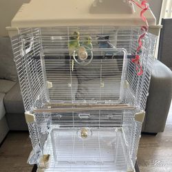 Bird Cage for Budgies