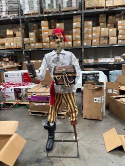 Animated pirate sidekick