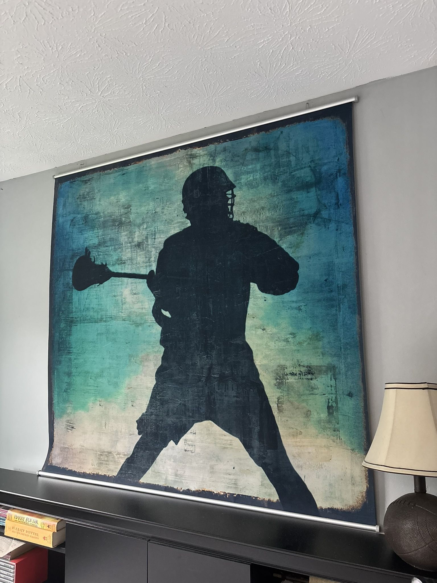 Pottery Barn Teen Lacrosse Wall Hanging Excellent shape