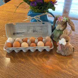 Farm Fresh Eggs!! Happy Chickens.