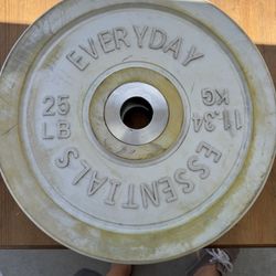 25 Pound Weights