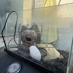Fish Tank 