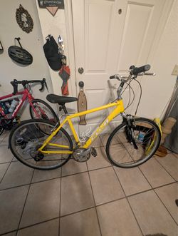 Adult bicycle
