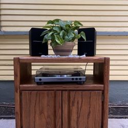 Vintage Wooden Vinyl Media Cabinet 