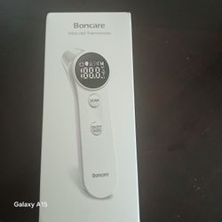Thermometer 