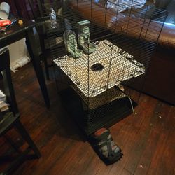 Ferrets Cage And Feeders