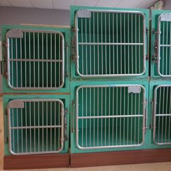Professional Veterinary Cages