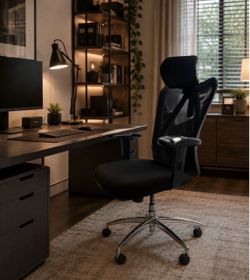Office chair 79$ & electric desk 63” 150$