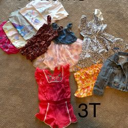 3T Girls Clothes 