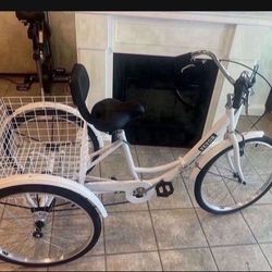 Adult tricycle