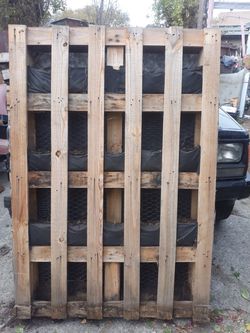 FREE - PALLET TURNED PLANTER