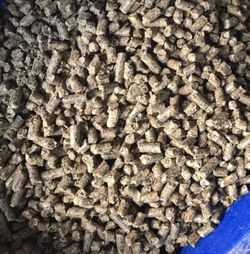 Livestock feed 50lb bags