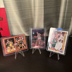 Larry Bird Lot