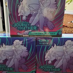 Pokemon Journey Together