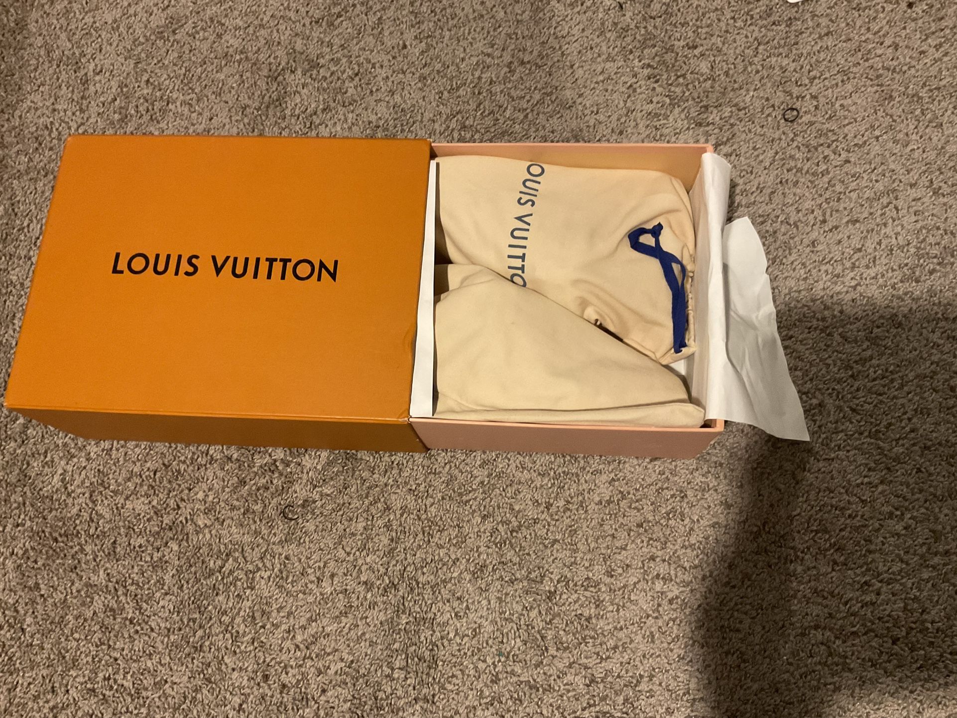 Louis Vuitton Skate Shoes
