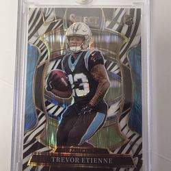 Select Zebra Trevor Etienne