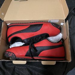 Red And Black Pumas