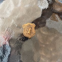 Vintage Gold Pin
