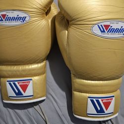 16 Oz Winning Boxing Gloves