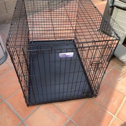 X L Heavy Gauge Dog Crate