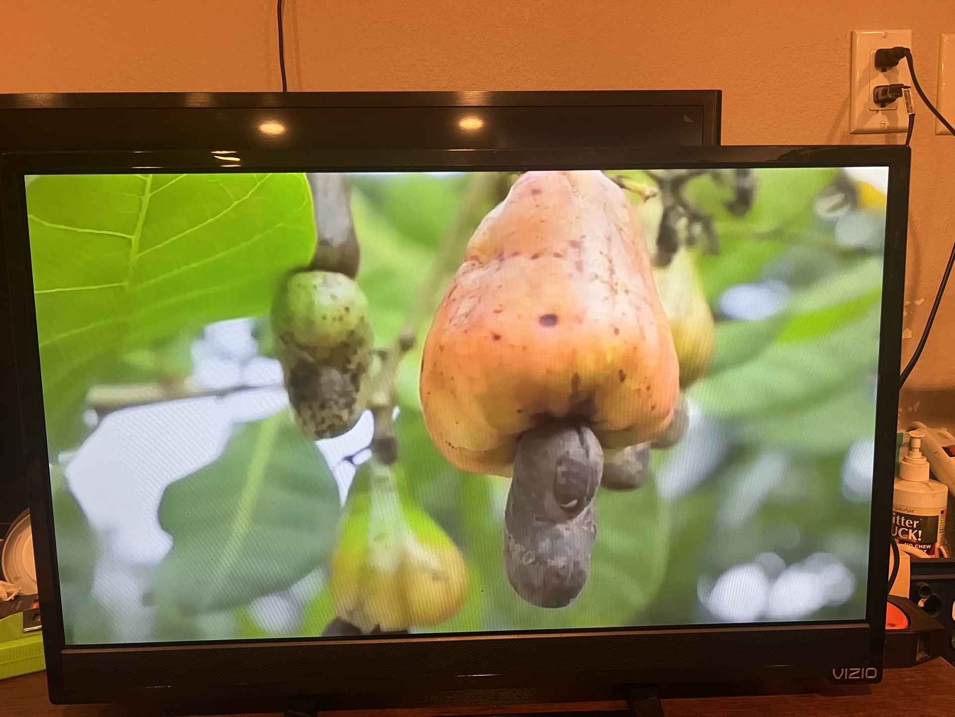 VIZIO E241I-B1 23.54 Inches 1080p 60Hz Smart LED TV or Computer Monitor