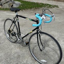 Fuji Arcadia Road Bike 58cm