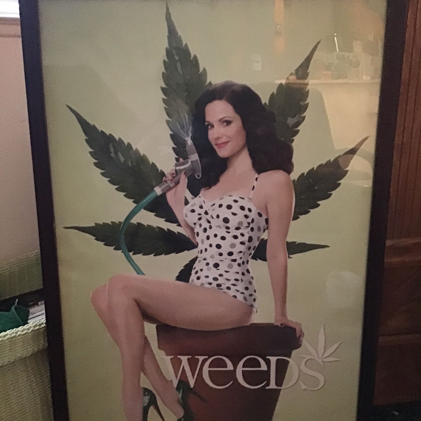Framed-Weeds Poster