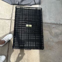 Cage And Cover 
