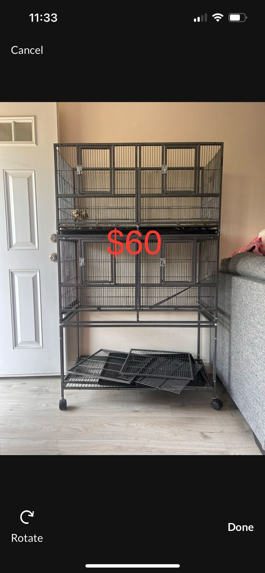 Large Bird Cages.