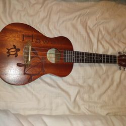Ukulele Concert 25" THE WAIKIKI UKULELE COMPANY