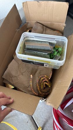 Roofing Nails 