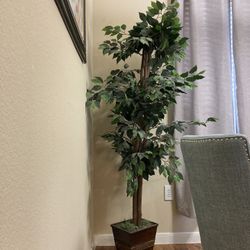 Artificial Plant Around 6 Ft Tall