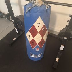 Punching Bag 