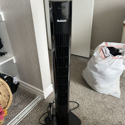 Standing Fan 