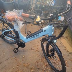Vrfreedom 1000w Electric Bicycle 25mph