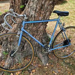 Fuji Street Bike Vintage