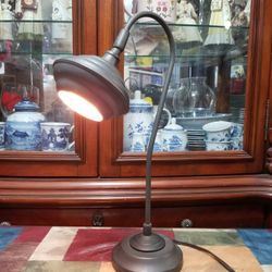 Adjustable Gooseneck Metal Desk Lamp