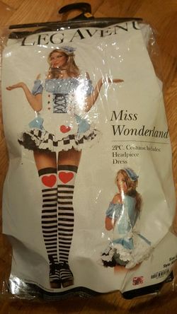 Miss Wonderland costume