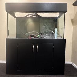 90 Gallon Tank 
