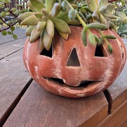 Ceramic Pumpkin with Succulents