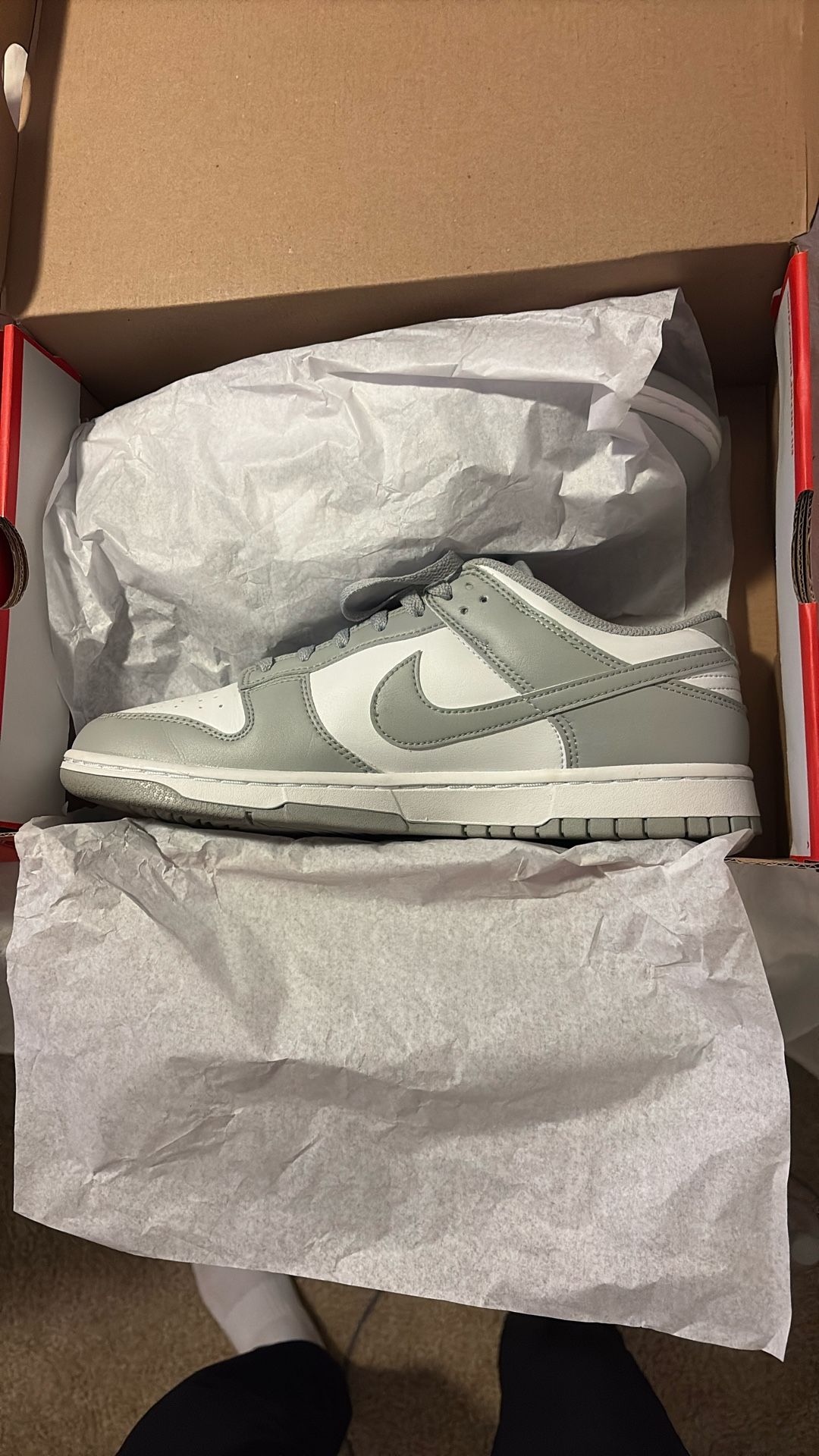 Jordan 1s Low/Jordan Dunks Low