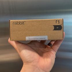 Rabbit R1 AI Assistant 