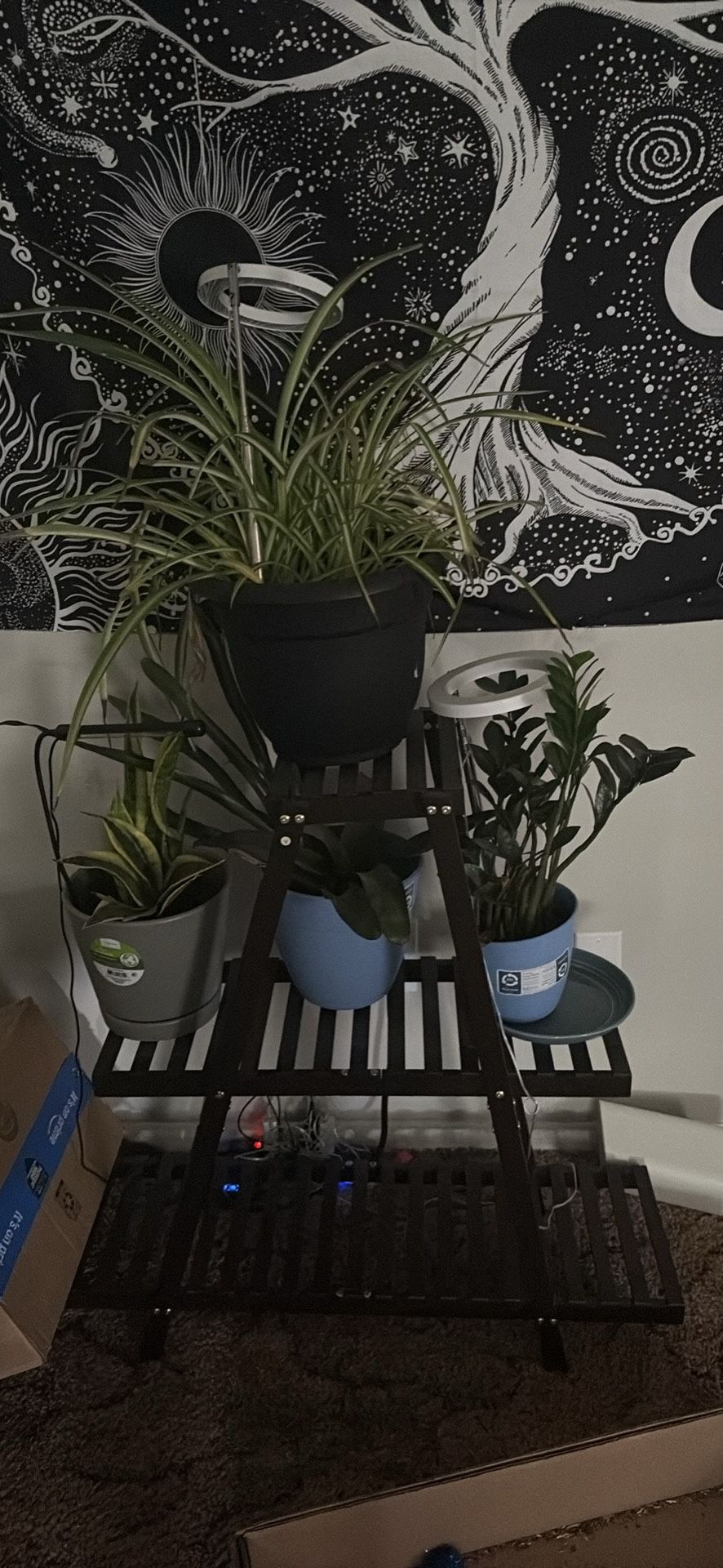 Plant stand