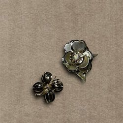 Antique Brooches 