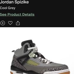 Jordan Spikes Cool Grey