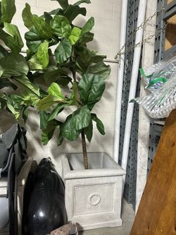 Plant decor