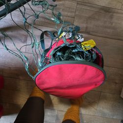 Net Christmas Lights White And Bag