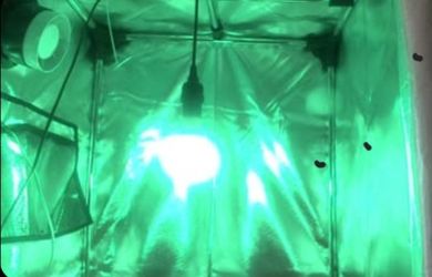 iMeshBean Plant Growing Tent Kit